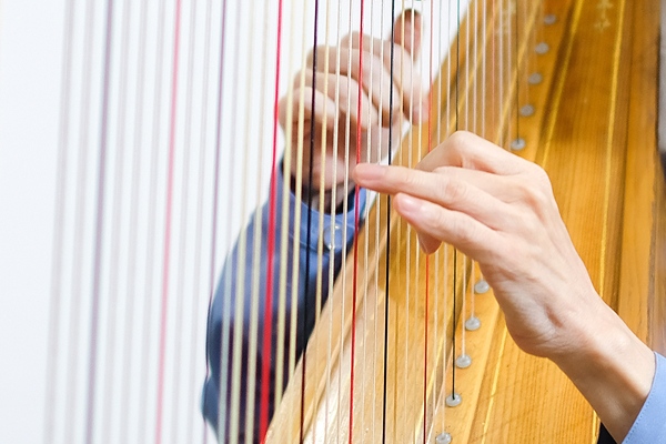 ハープ教室の画像