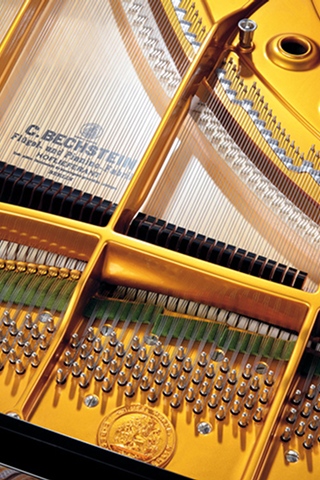 ベヒシュタイン・ホフマンのスライダー画像