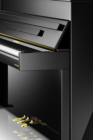 ベヒシュタイン・ホフマンのスライダー画像