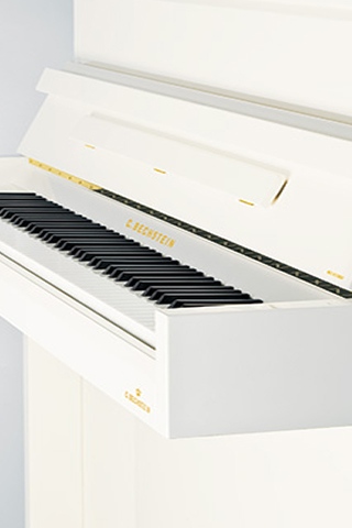 ベヒシュタイン・ホフマンのスライダー画像