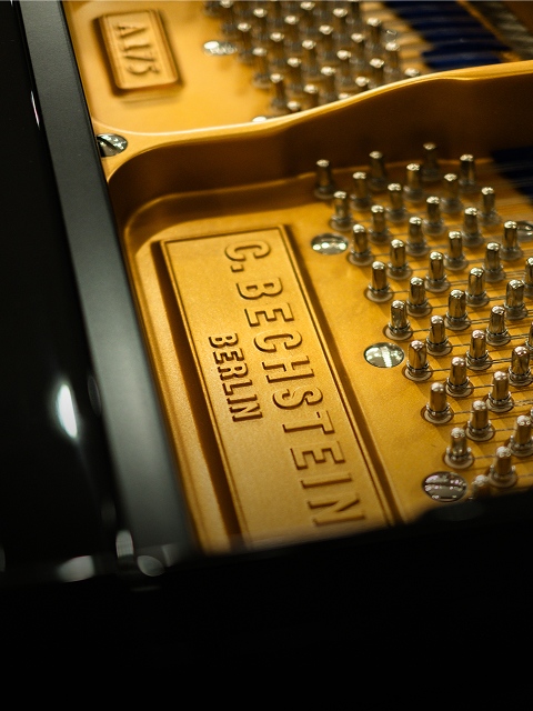 ベヒシュタイン・ホフマンの画像