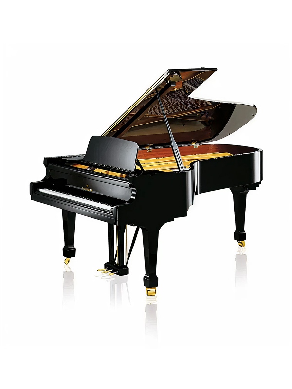 ベヒシュタイン・ホフマンのスライダー画像