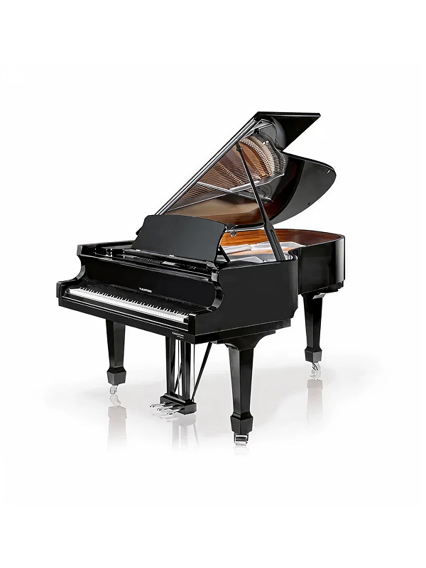 ベヒシュタイン・ホフマンのスライダー画像