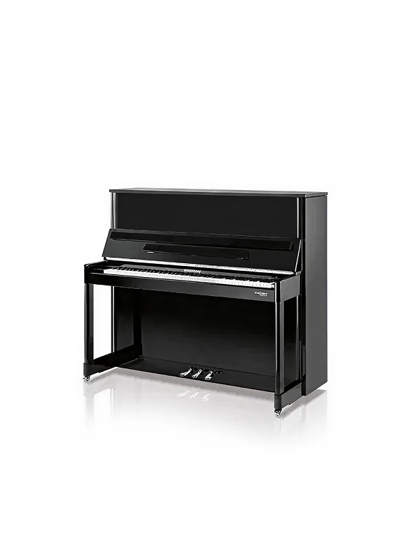 ベヒシュタイン・ホフマンのスライダー画像