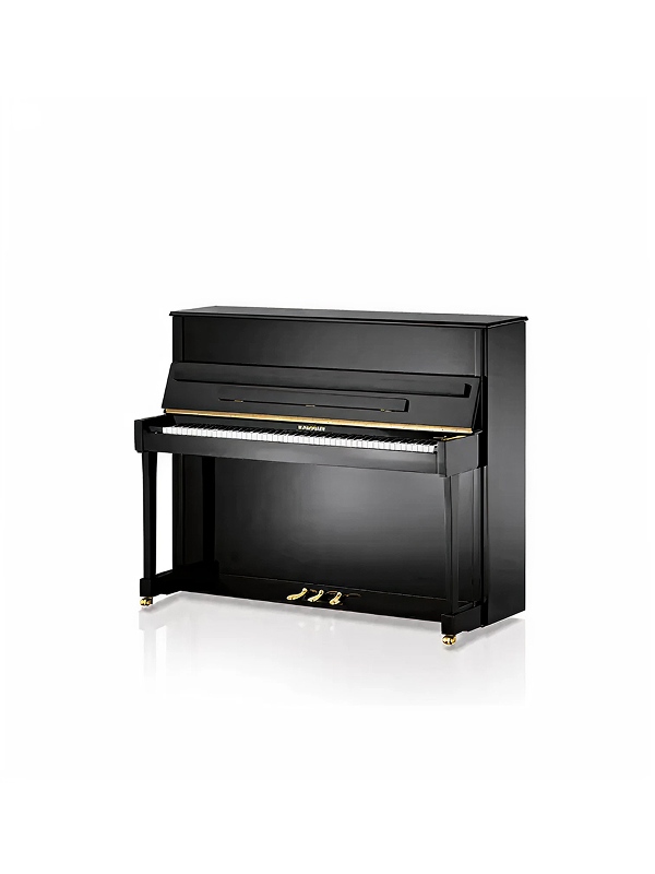 ベヒシュタイン・ホフマンのスライダー画像