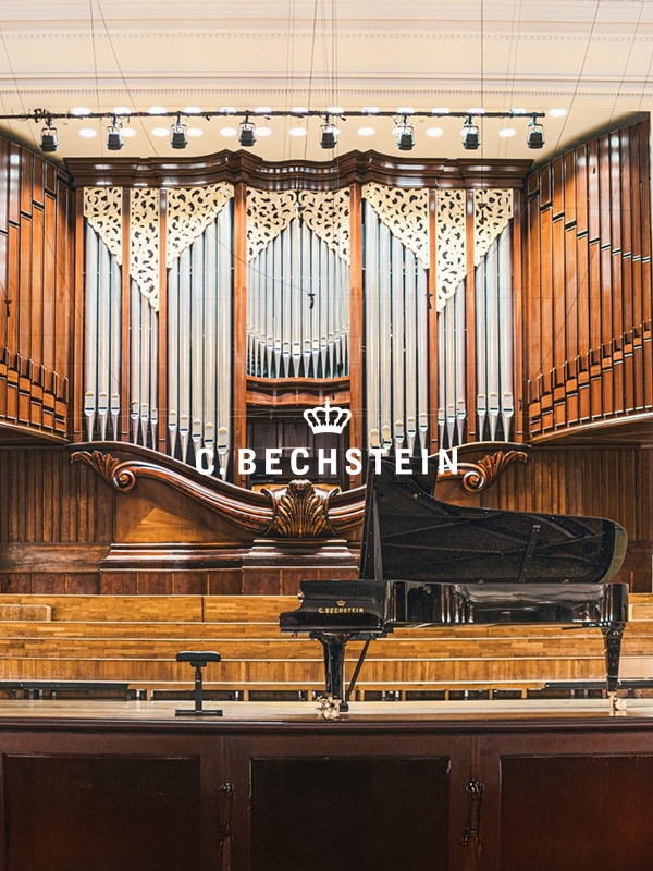 ベヒシュタイン・ホフマンの画像