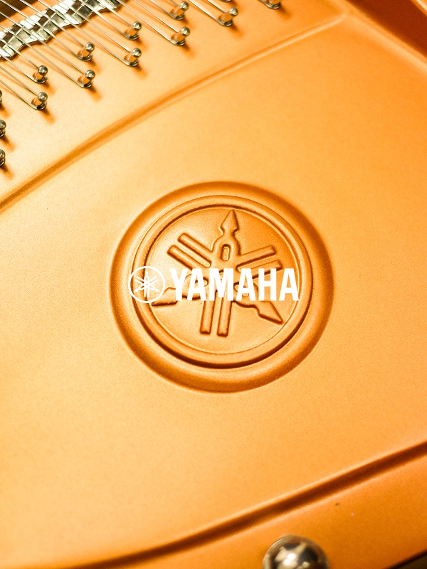 ハープ教室の画像